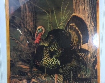 Wild Turkey Art, Wall Hanging, Turkey Picture, Hunting Scene