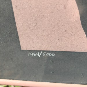 Puede incluir: Primer plano de una impresi&oacute;n enmarcada en gris y rosa con el n&uacute;mero "1984/5000" escrito en blanco en la parte inferior.