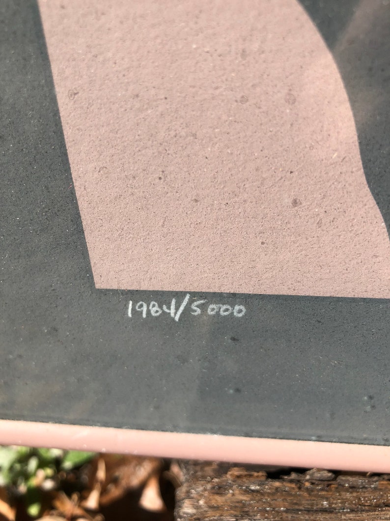 Puede incluir: Primer plano de una impresi&oacute;n enmarcada en gris y rosa con el n&uacute;mero "1984/5000" escrito en blanco en la parte inferior.