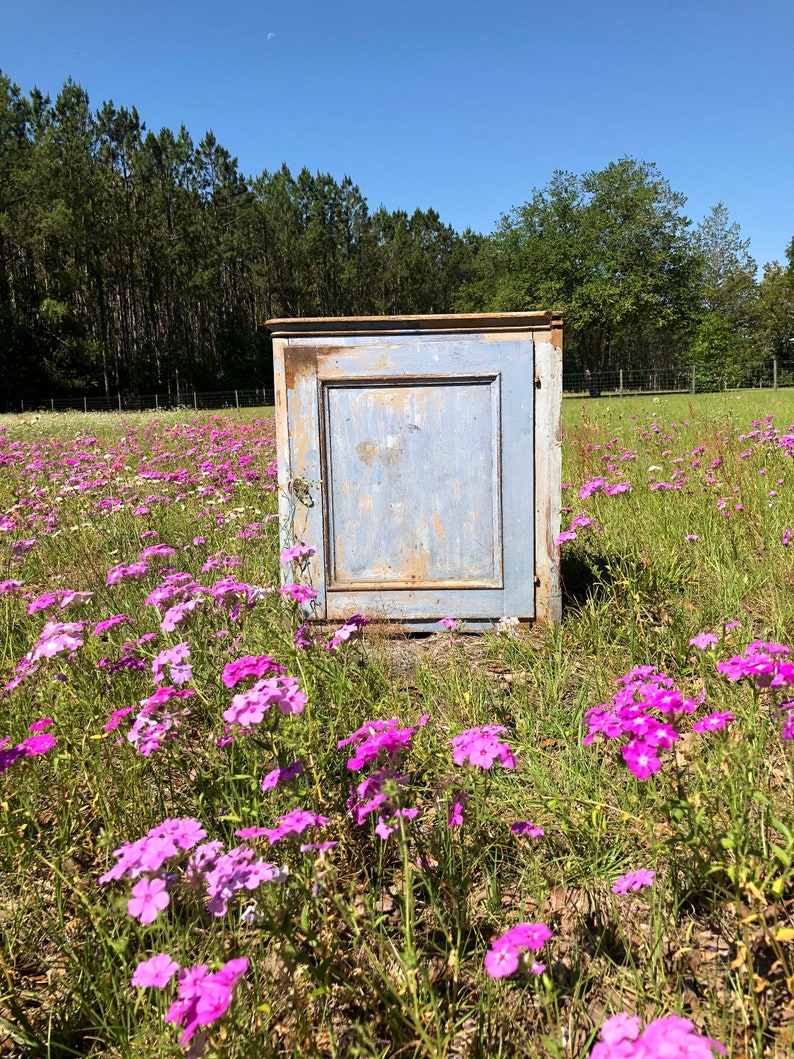 May include: A weathered blue cabinet with a single door stands in a field of pink flowers. The cabinet has a simple design with a single panel door and a slightly distressed finish.