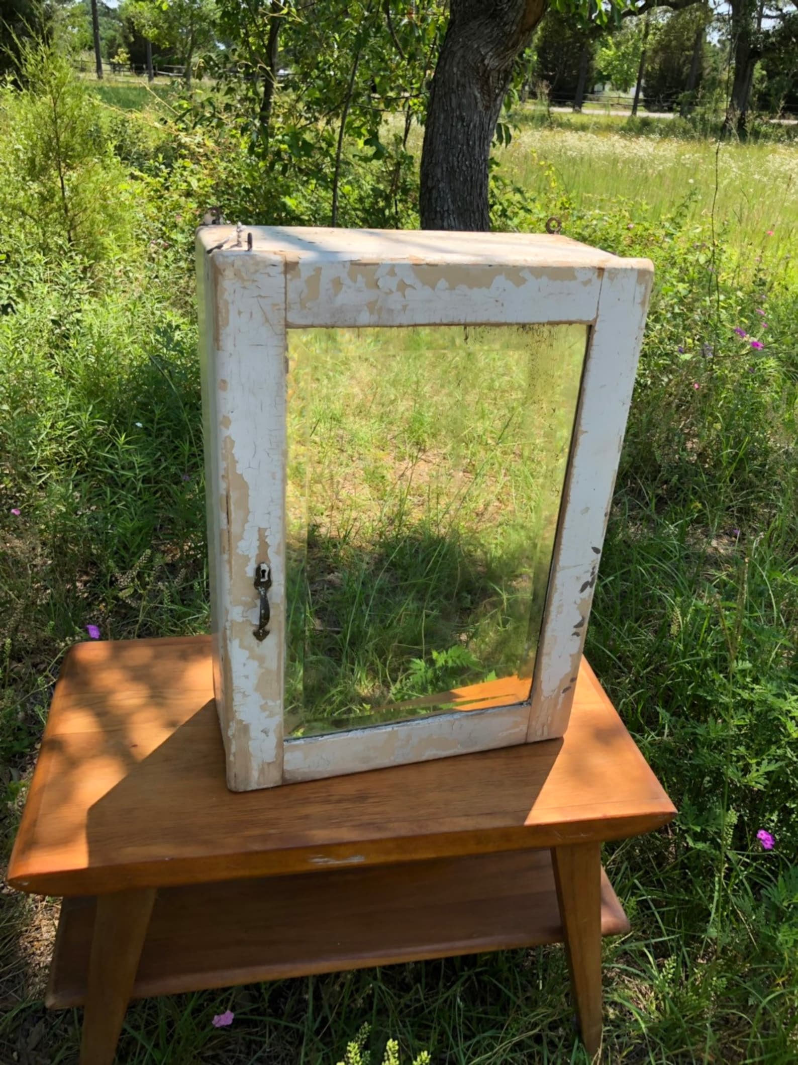 Vintage Medicine Cabinet Wall Cabinet White Cabinet Spice - Etsy