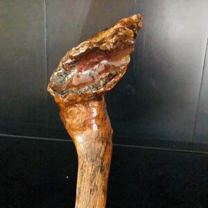 May include: A wooden walking stick with a unique, natural, knotty design. The top of the stick is shaped like a rounded, knobby head.