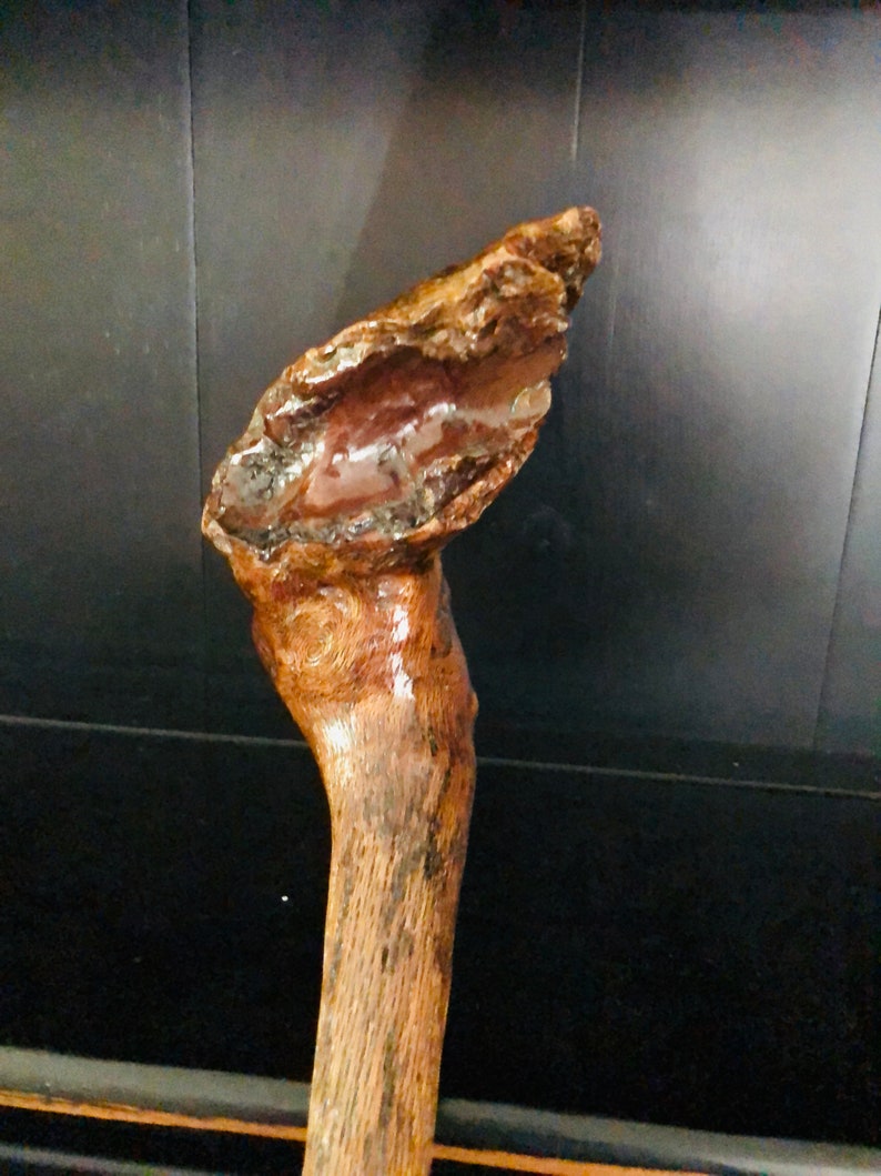 May include: A wooden walking stick with a unique, natural, knotty design. The top of the stick is shaped like a rounded, knobby head.