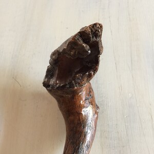 May include: A close-up of the top of a wooden walking stick with a unique, knobby handle. The handle is dark brown and has a natural, rustic finish.