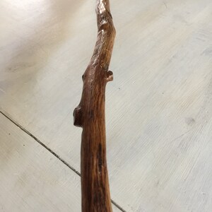 May include: A long, brown wooden walking stick with a natural, curved shape. The stick has a rough, textured surface and a few knots.