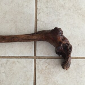 May include: A dark brown wooden walking stick with a unique, twisted handle.