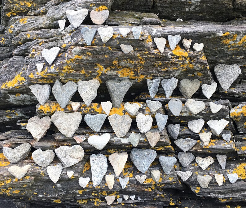 May include: A rock wall covered in moss and lichen with many heart-shaped stones arranged in rows. The stones are gray and white.