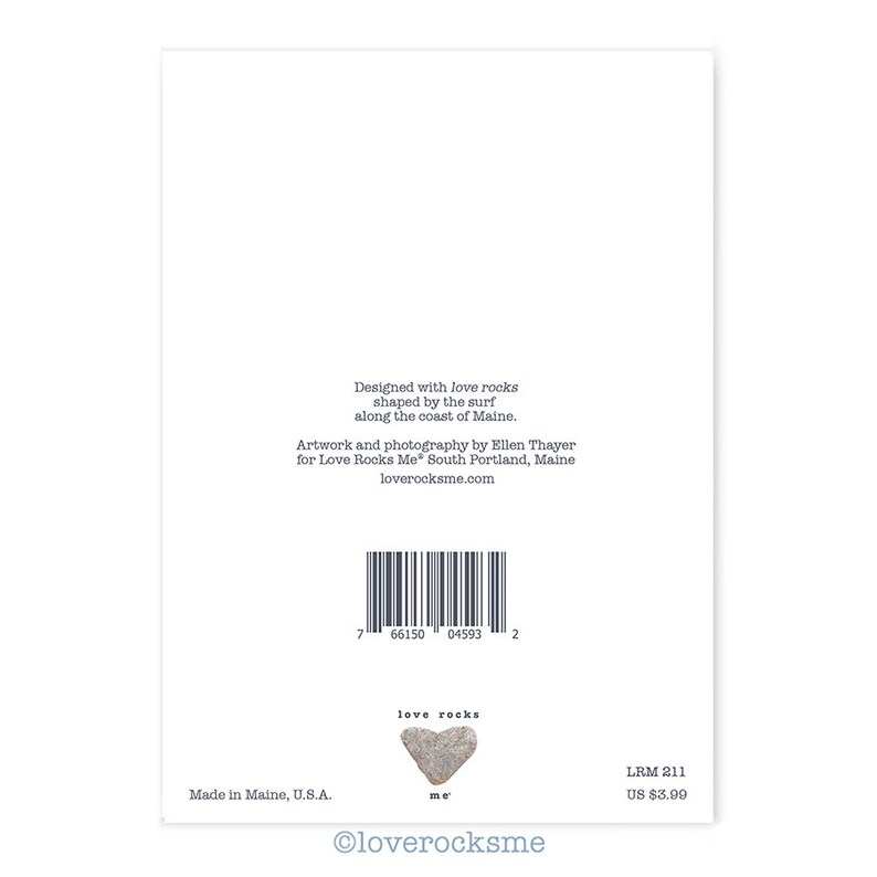 Kite card kite flying note card kite lovers gift kite Etsy