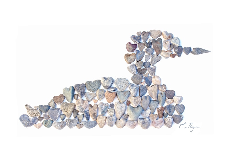 May include: A loon bird made out of small, heart-shaped stones in shades of gray, brown, and white. The stones are arranged to form the shape of a loon, with its head, beak, body, and wings clearly visible. The background is white.