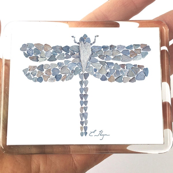 Dragonfly magnet, insect magnet, nature magnet, dragonfly lover gifts, nature magnets, dragonfly party favors, nature party favors