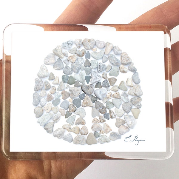 Sand dollar magnet, Sea life magnet, Beach magnet, Coastal magnet, Sand dollar art, Beach party favor, Coastal party favor, Sand dollar love