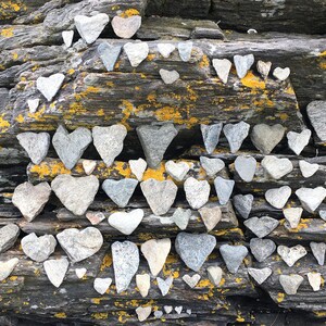 May include: A rock wall covered in moss and lichen with many heart-shaped stones arranged in rows. The stones are gray and white.