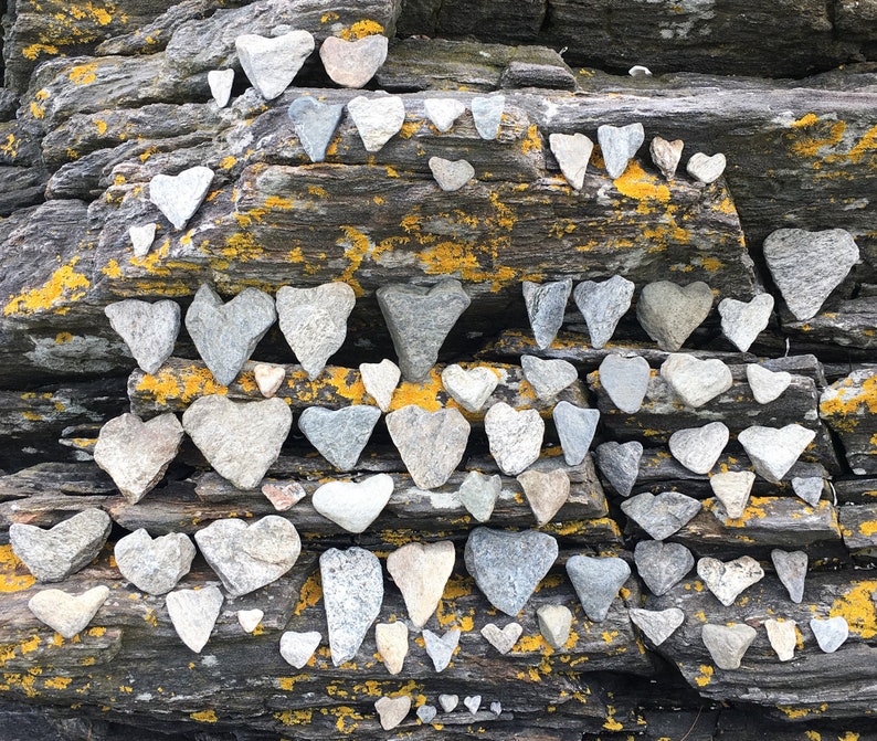 May include: A rock wall covered in moss and lichen with many heart-shaped stones arranged in rows. The stones are gray and white.