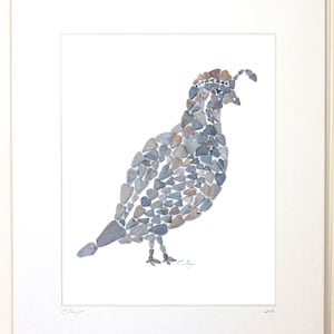 Quail wall art, quail art print, California quail art, quail lovers gift, quail decor, bird art print, wildlife wall art, love rocks me