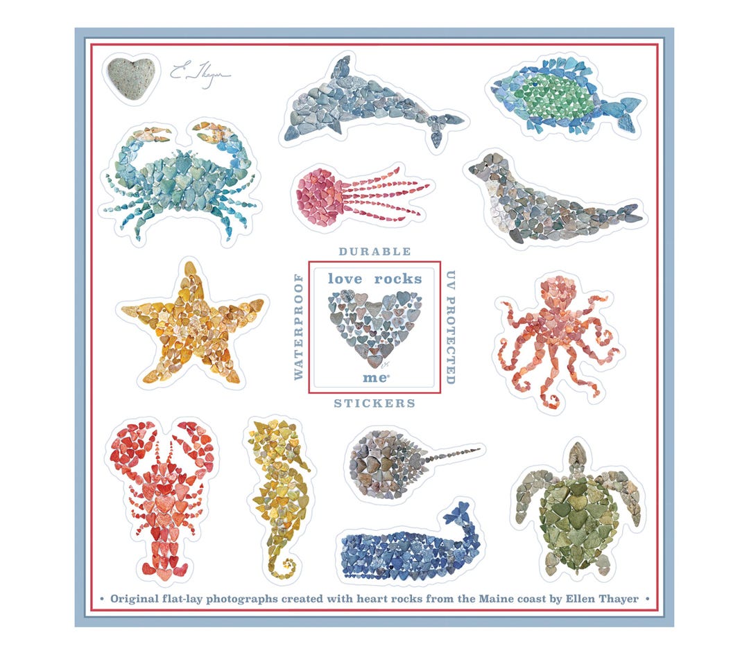 Sea Life Vinyl Sticker Sheet, Ocean Theme Decals, Coastal Stickers - Etsy