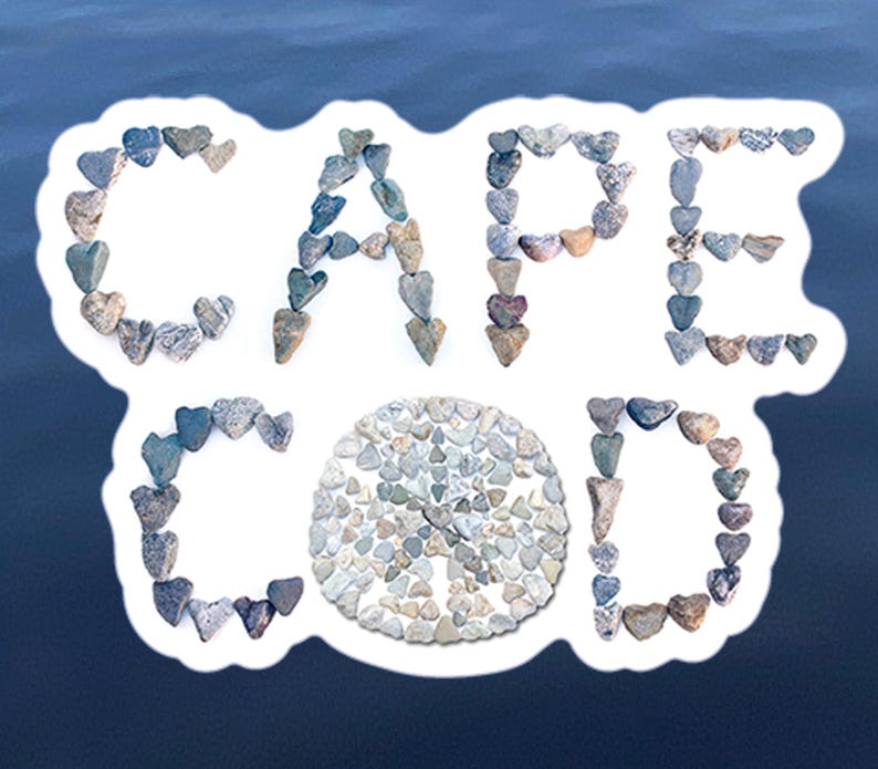 Cape Cod Vinyl Sticker, Massachusetts Souvenir Decal, Sand Dollar ...