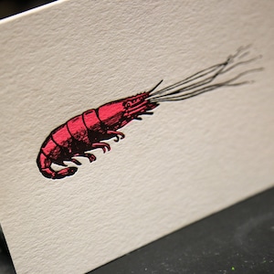 Carte Letterpress Crevette pour décoration