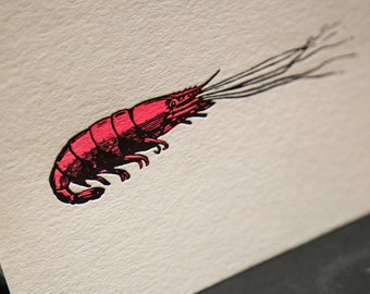 Carte Letterpress Crevette pour décoration