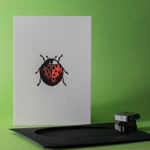 Carta tipografica coccinella immagine 5