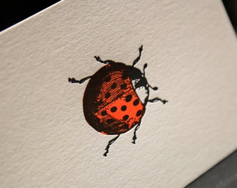 Ladybug Letterpress Card