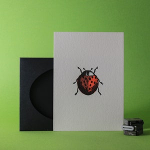 Carta tipografica coccinella immagine 4