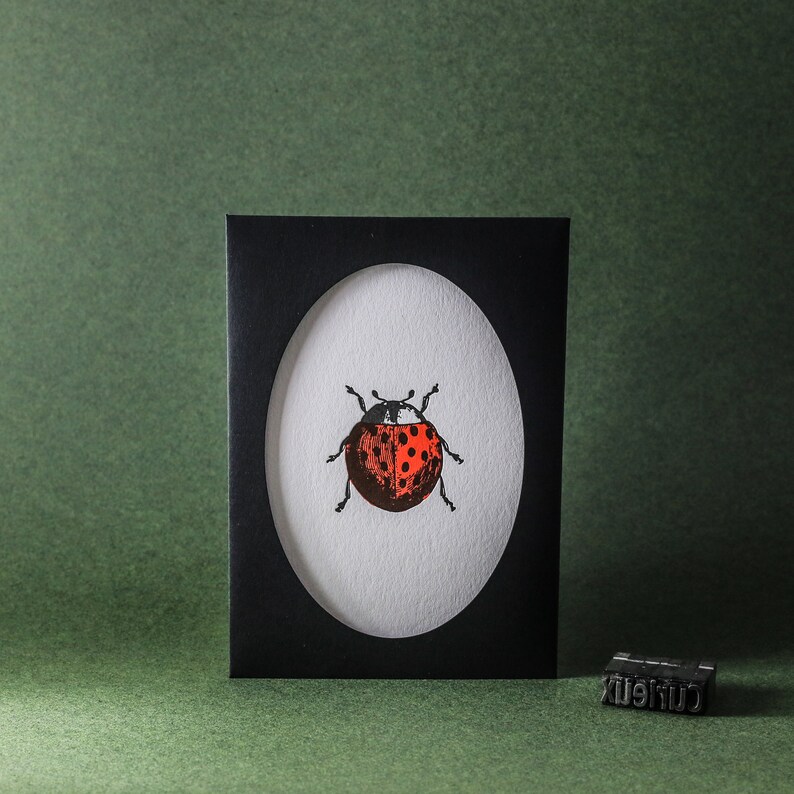 Carta tipografica coccinella immagine 6