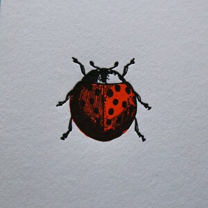 Carta tipografica coccinella immagine 2