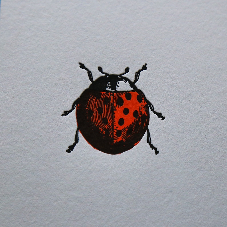 Carta tipografica coccinella immagine 2