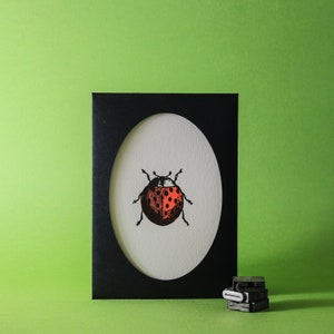 Carta tipografica coccinella immagine 3