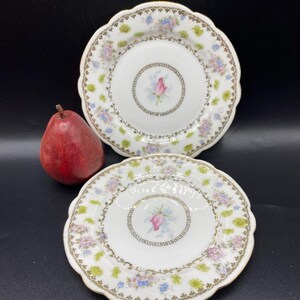 May include: Two white porcelain dessert plates with a scalloped edge. The plates have a floral design with pink roses, blue and white flowers, and green leaves. The design is surrounded by a gold trim.