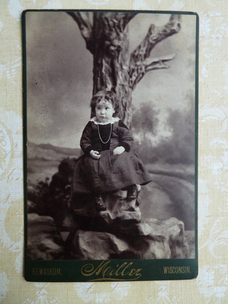 Antique 1890's Photo Toddler Sitting on Rocks With Tree, Kewaskum