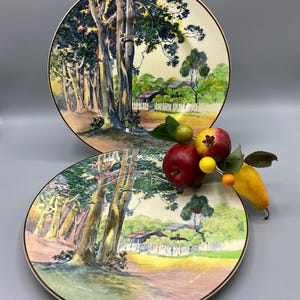 Pair of Antique plates from the Royal Doulton Series ware hand painted with trees and houses, Very good condition, fine china