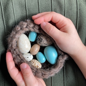 Made to Order-Eastern Bird eggs-Nest of eggs- Homeschool Hands on Learning-Bird Egg Learning-Science Birds-Bluebird egg-Killdeer egg-Sparrow