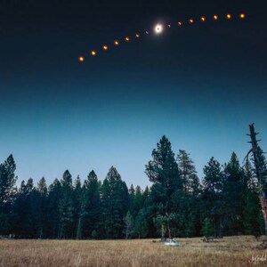 May include: A photograph captures a celestial event, likely a solar eclipse, with a sequence of orange-hued phases arcing across a dark blue sky. The foreground features a field of dry grass and a dense line of evergreen trees.