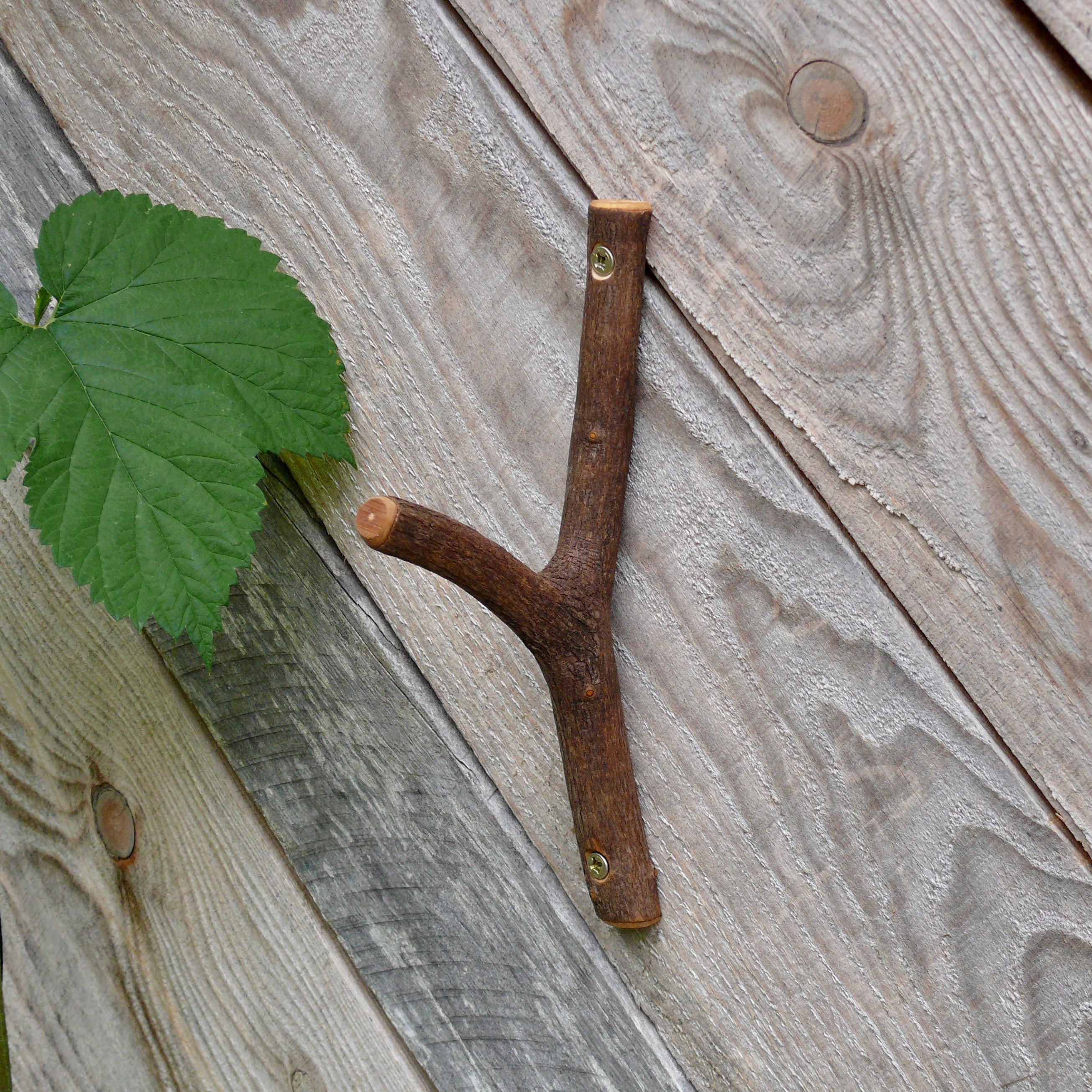 8 Wooden Branch Wall Hook Tree Branch Hook Wood Wall Etsy