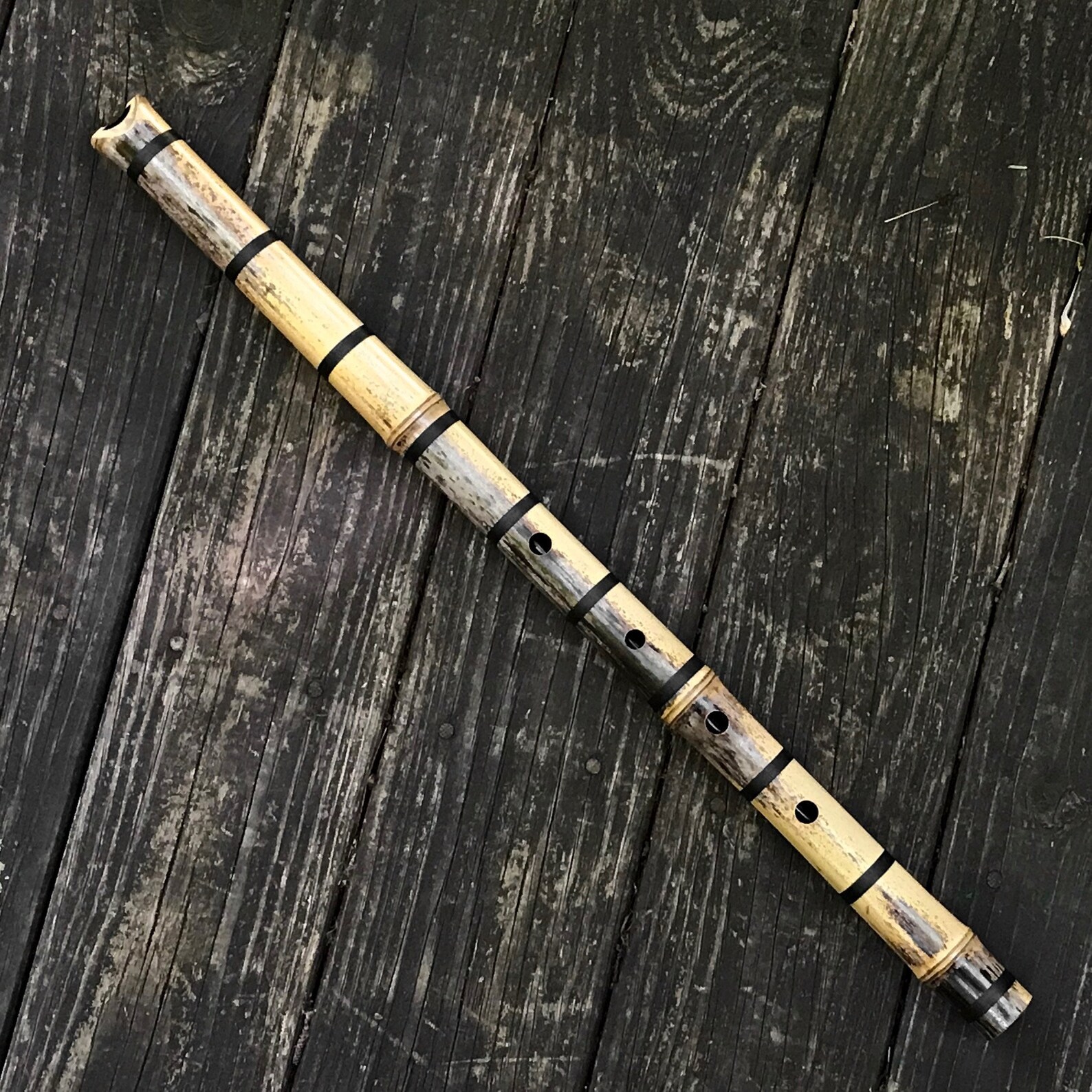 Shakuhachi Flute 2.0 'C' Cast Jiari Student Model Etsy