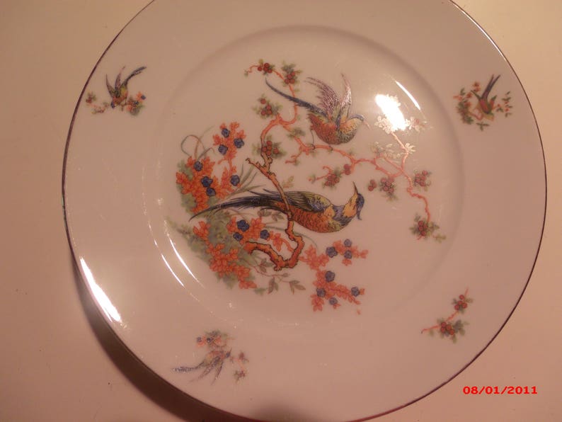 Bohemia Bird of Paradise China Plates Etsy