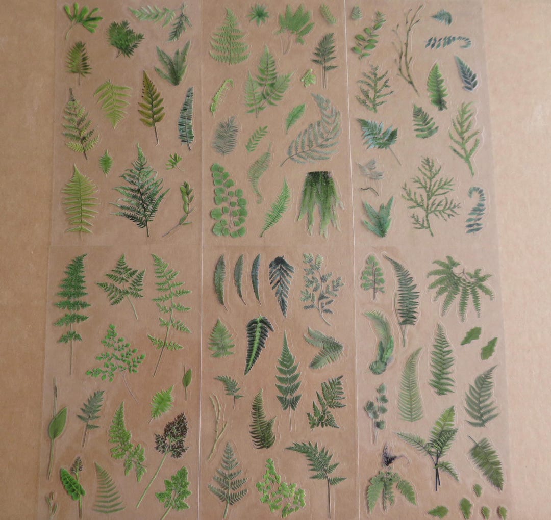 Fern Frond Sticker Set, Journal Scrapbook Fern Plant Leaves Sticker ...