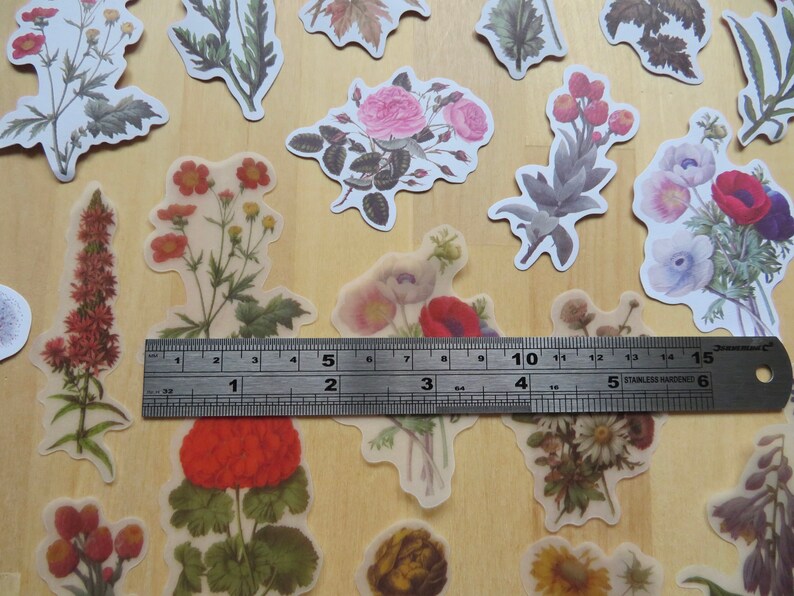 40 Illustrated Flower Stickers, Paper & PVC Nature Garden Woodland Plant Planner Journal Stickers, Botanical Stationery, Gardener Gift image 2
