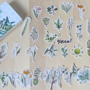 Woodland Green Plant Washi Stickers, Watercolor Nature Stickers, Leaf Planner Journal Diary Stickers, Illustrated Botanical Stationery