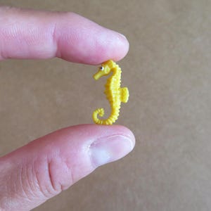 Caballito de mar en miniatura - Suministros para mini terrarios oceánicos - Criaturas marinas diminutas - Suministros para dioramas de jabón - Regalo de hipocampo
