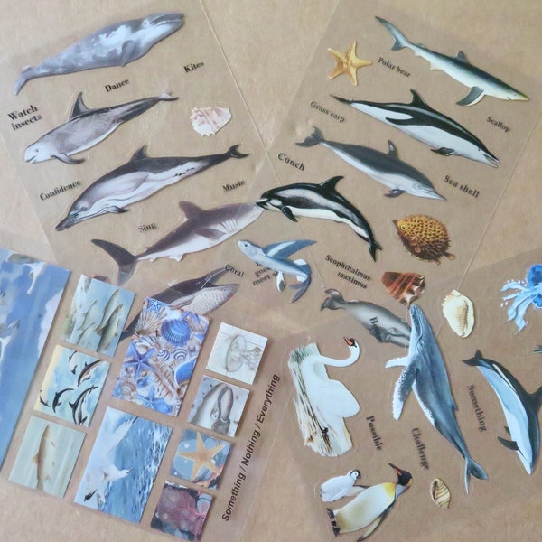Ocean Stickers, Marine Theme Planner Journal Dolphin and Whale Stickers, Realistic Sea Animal Stationery