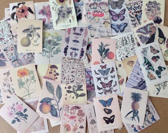 Puede incluir: Un conjunto de postales de estilo vintage con ilustraciones botánicas y de mariposas. Las tarjetas presentan imágenes de flores, setas, mariposas y frutas en colores suaves y apagados. Las tarjetas están dispuestas sobre un fondo neutro.