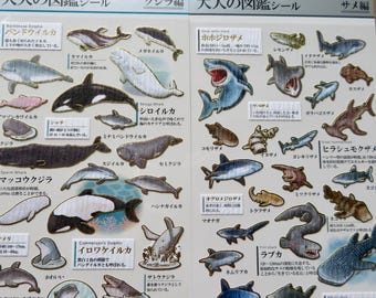 Kamio ADULT VISUAL DICTIONARY Stickers, Shark Dolphin & Whale Stickers, Ocean Gold Foil Stickers, Marine Reef Ocean Gift
