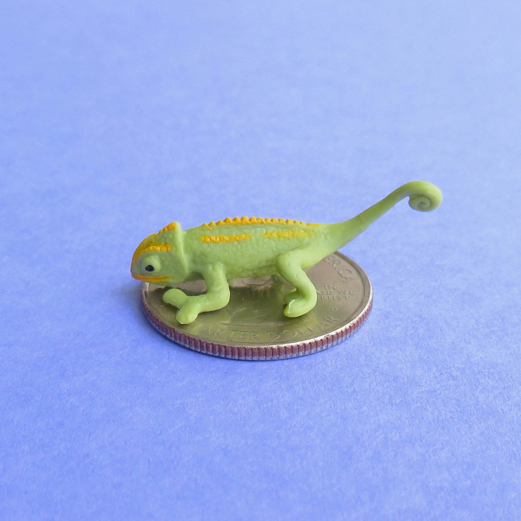 Miniature Chameleon Reptile Lizard, Terrarium & Fairy Garden
