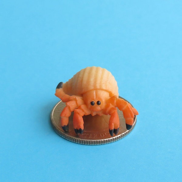 Miniature Hermit Crab - Mini OceanTerrarium Supplies - Teeny Tiny Sea Creatures Soap Making Diorama Supplies - Crab Theme Gift