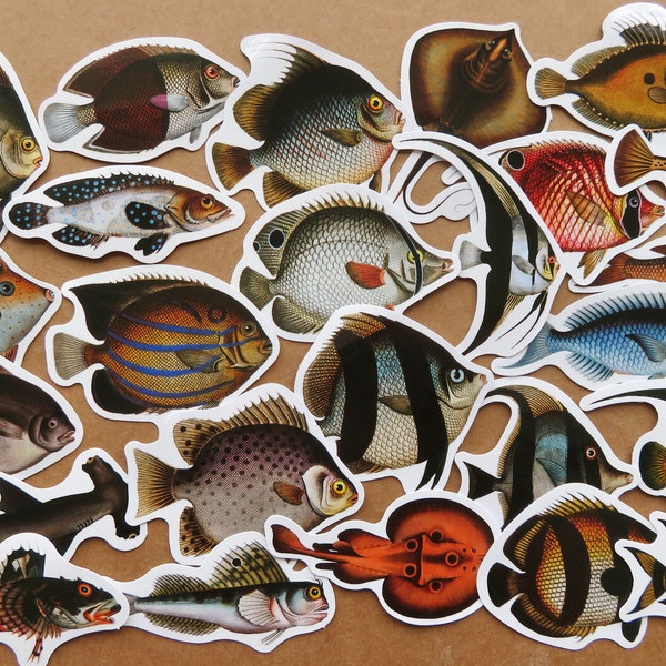 25 Tropical Reef Fish Stickers, Marine Animal Ocean Stickers, Fish Lover Scuba Snorkel Stickers