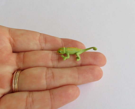 Miniature Chameleon Reptile Lizard, Terrarium & Fairy Garden