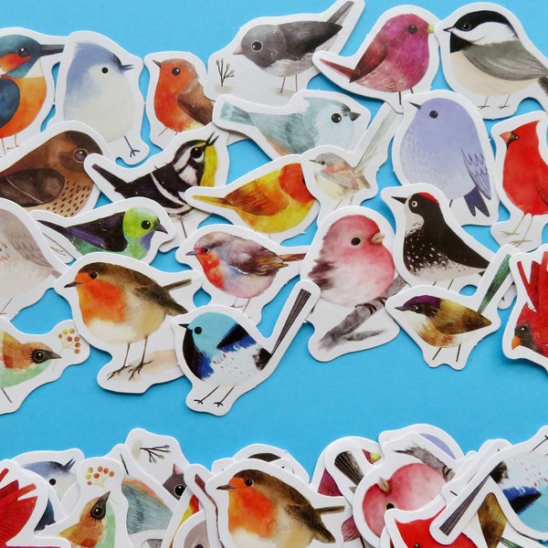 46 Song Bird Stickers, Bird Theme Planner Journal Scrapbook Stickers, Bird Lover Stationery Gift, Birder Birding Watcher Gift