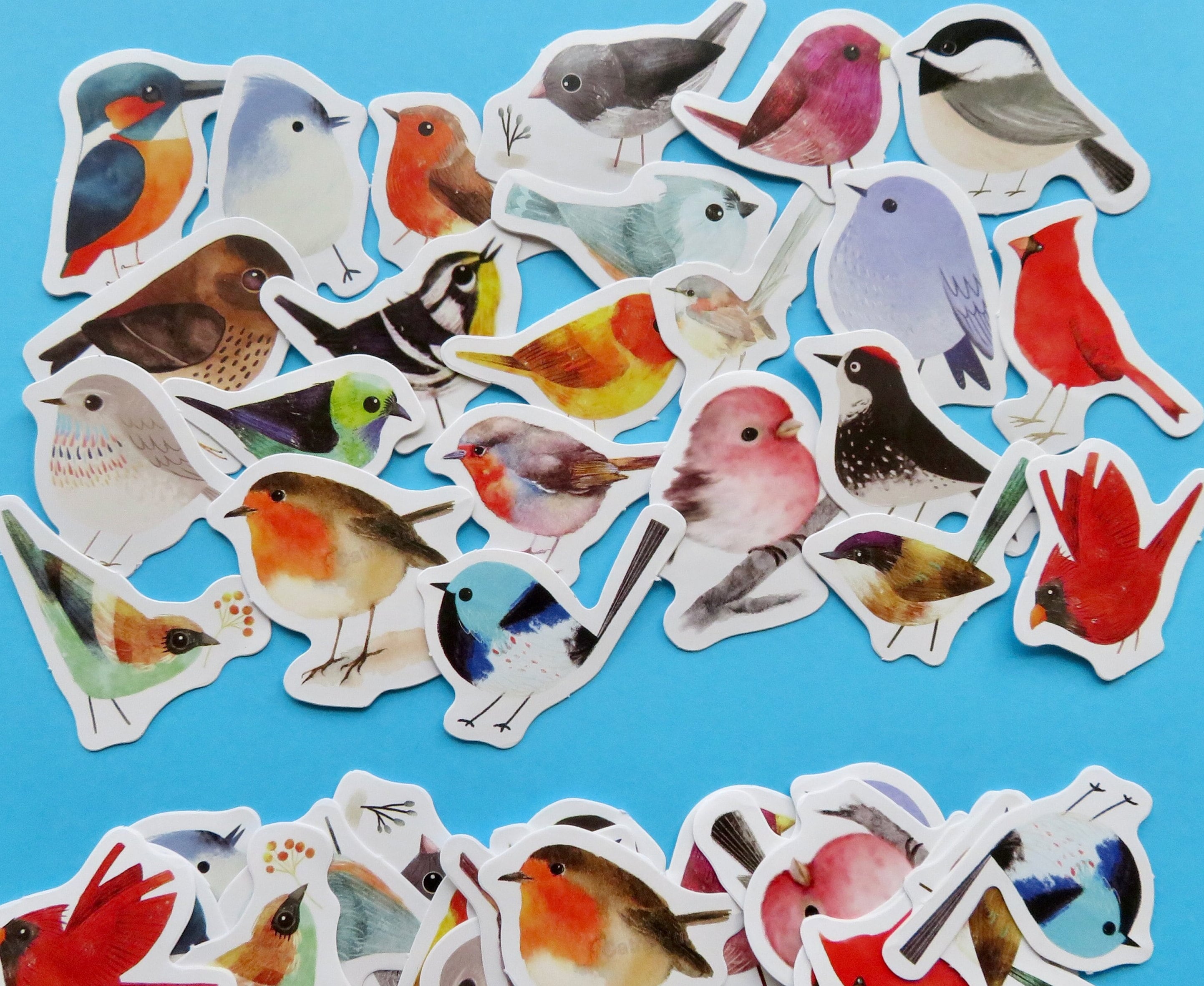 Bird Beautiful Song Bird Stickers, Art, Stationary, Scrapbook, Planner Gift